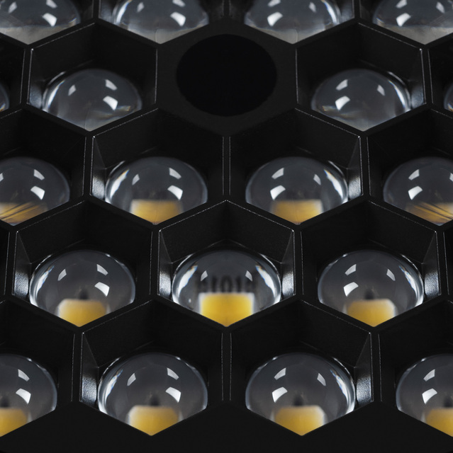 Detail of the Helgoland cells.