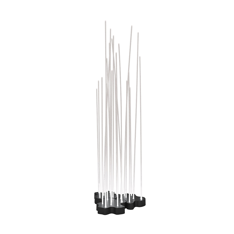 Reeds IP67 Triplo
