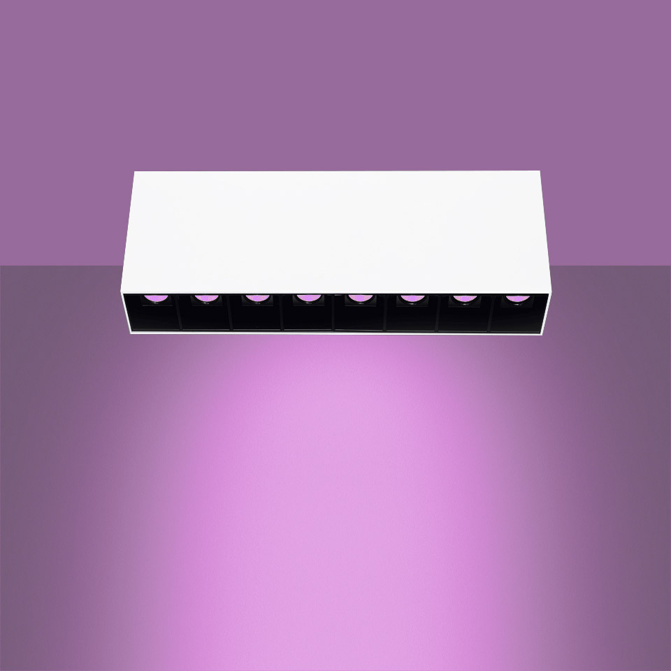 Sharp SMD - 8 optic unit - 24W - 20° Violet Integralis Bianco