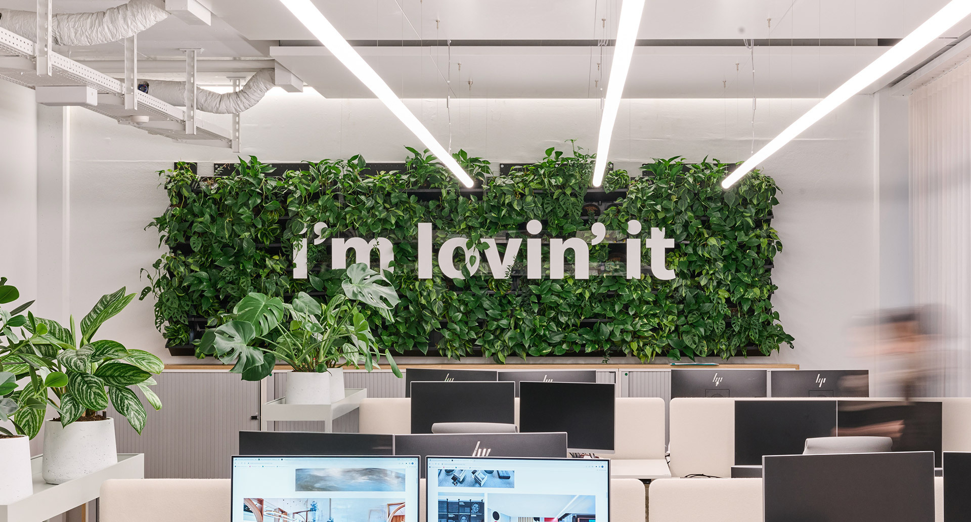 Green wall with “i’m lovin’ it” sign in a modern office with plants and workstations.