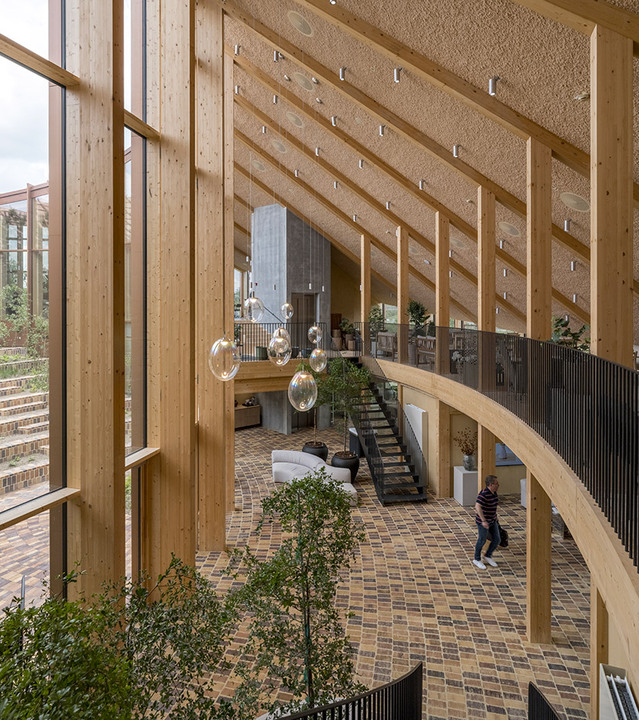 Atrium view featuring Stellar Nebula pendants integrated into the timber architecture.