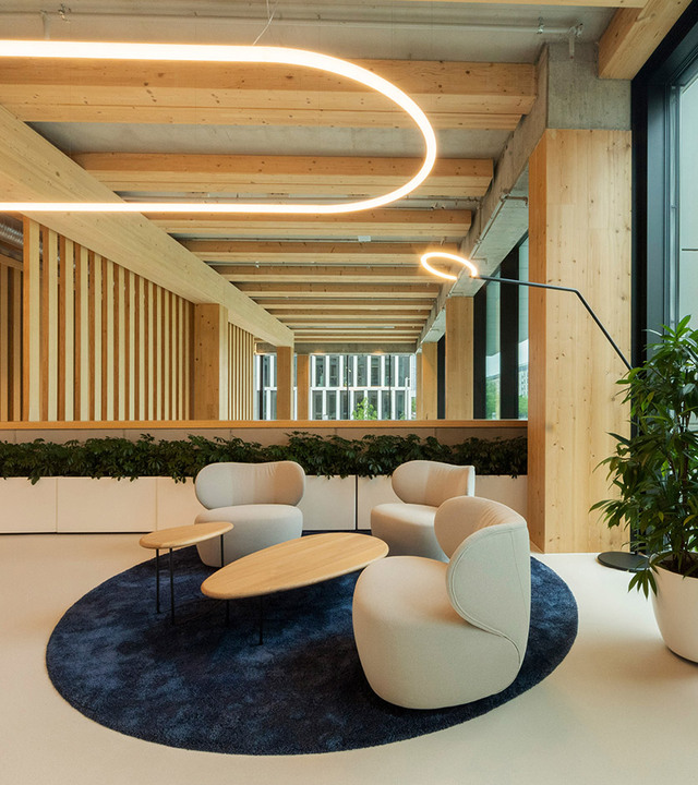 Lounge area with light armchairs, a blue rug and circular light lines suspended between wooden beams.