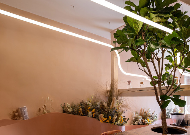 Immagine dell'interno del Noir Coffee Shop con Alphabet of Light