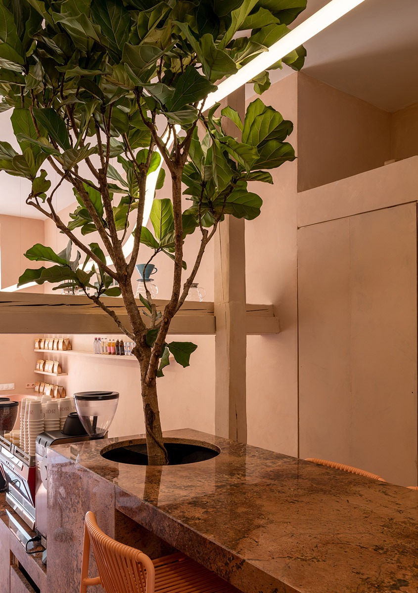 Immagine dell'interno del Noir Coffee Shop